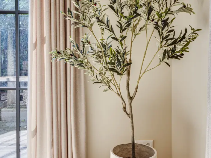 Modern Design 54