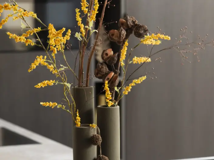 Modern Design 55